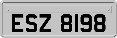 ESZ8198