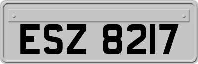 ESZ8217
