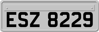 ESZ8229