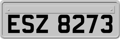 ESZ8273