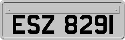 ESZ8291