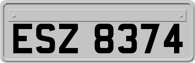 ESZ8374