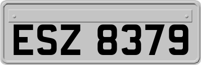 ESZ8379