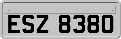 ESZ8380