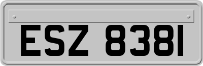 ESZ8381