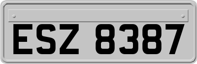 ESZ8387