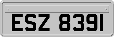 ESZ8391