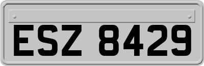 ESZ8429