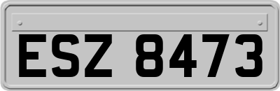 ESZ8473