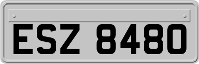 ESZ8480