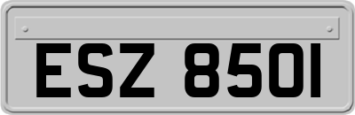 ESZ8501