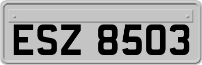 ESZ8503