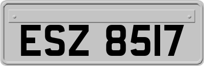 ESZ8517