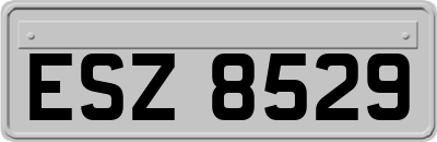 ESZ8529