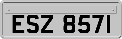 ESZ8571
