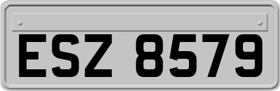 ESZ8579