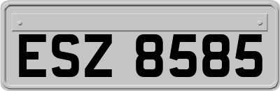 ESZ8585