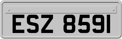 ESZ8591