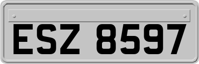 ESZ8597