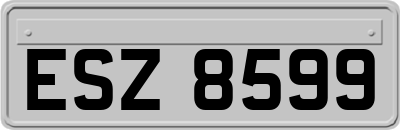 ESZ8599