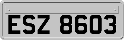 ESZ8603