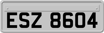 ESZ8604