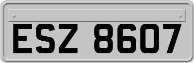 ESZ8607
