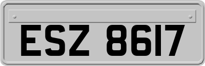 ESZ8617