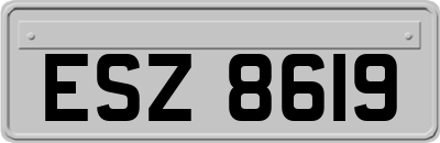 ESZ8619