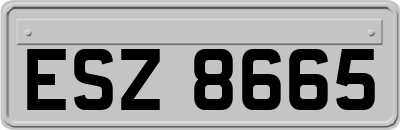 ESZ8665