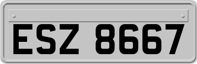 ESZ8667