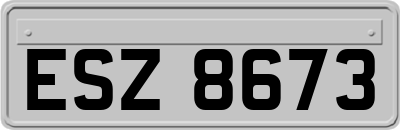 ESZ8673