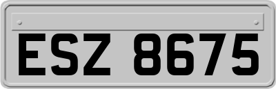 ESZ8675