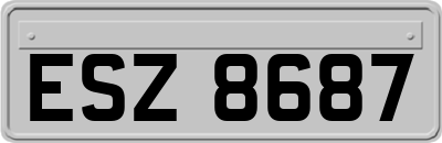 ESZ8687
