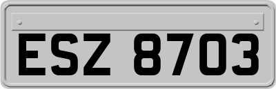 ESZ8703