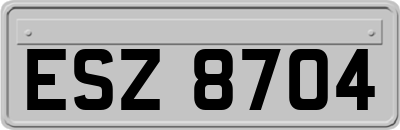 ESZ8704
