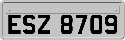 ESZ8709