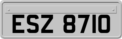 ESZ8710
