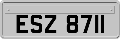 ESZ8711