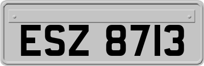 ESZ8713