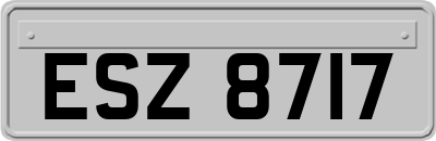 ESZ8717