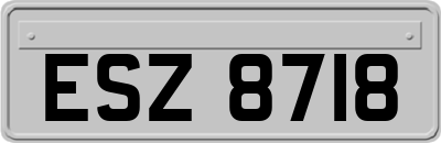 ESZ8718