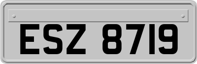 ESZ8719