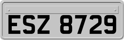 ESZ8729