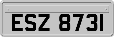 ESZ8731