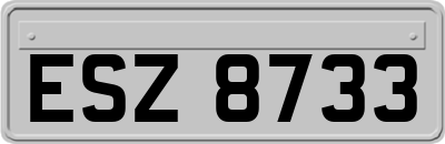 ESZ8733