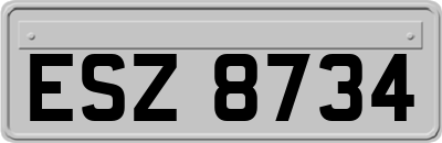ESZ8734