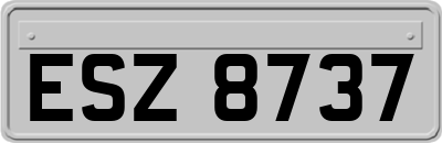 ESZ8737