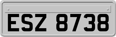 ESZ8738
