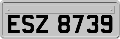 ESZ8739